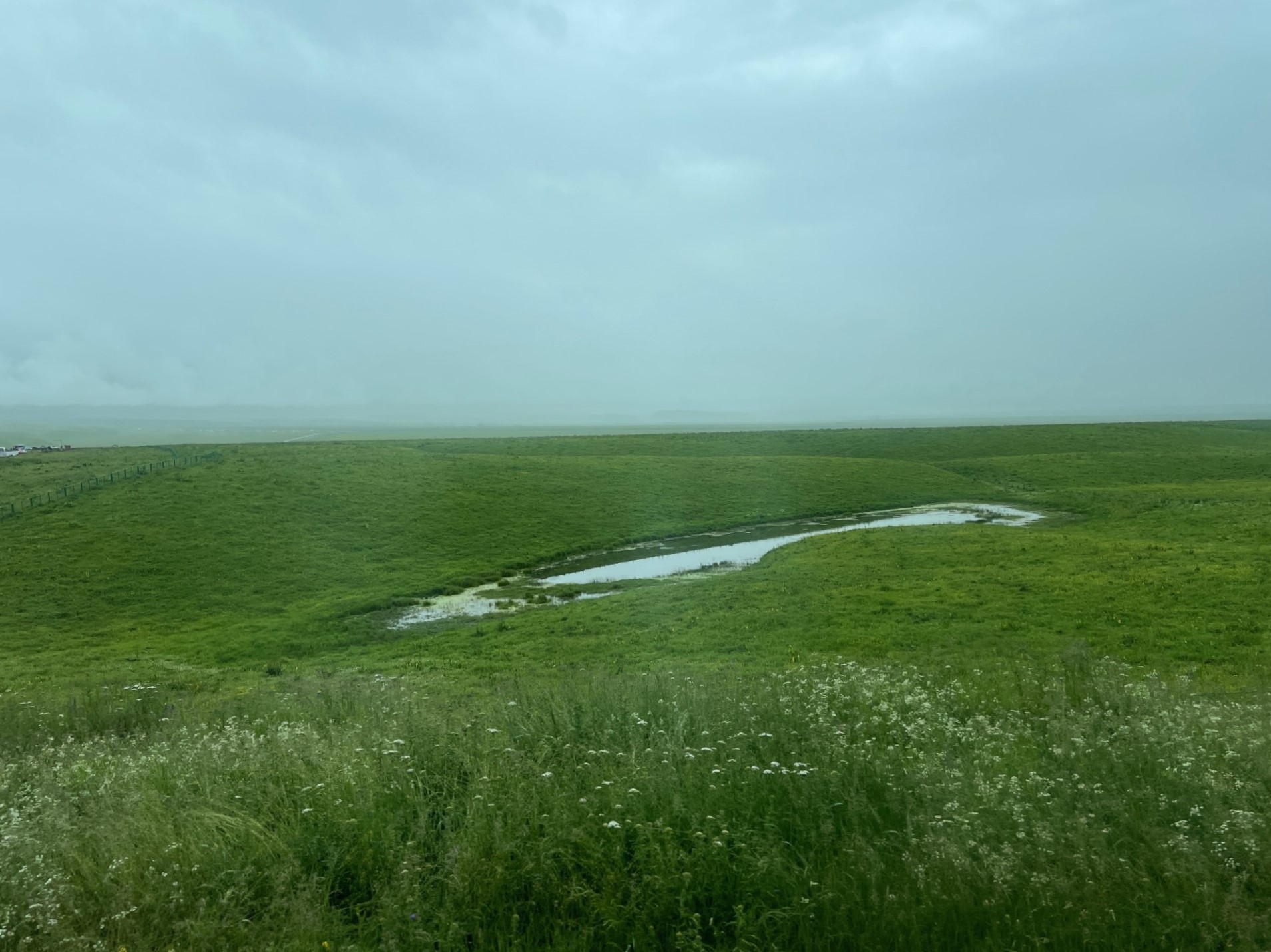 那拉提草原湿地